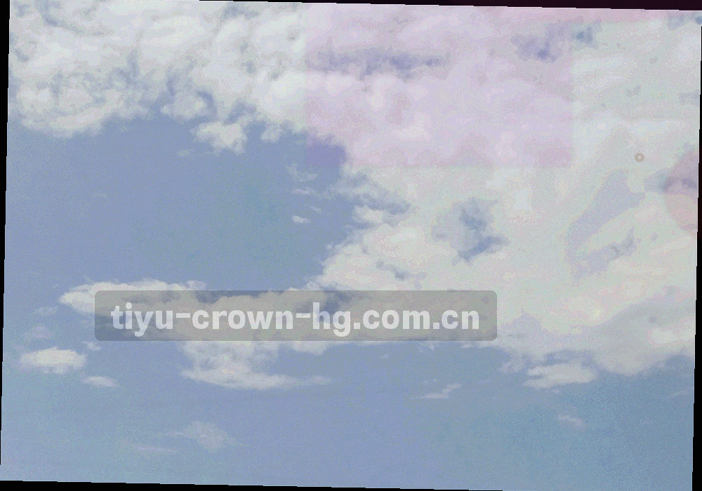 深墨绿台面上贴有编号标签的公告卡片俯拍，旁边放着一部手机